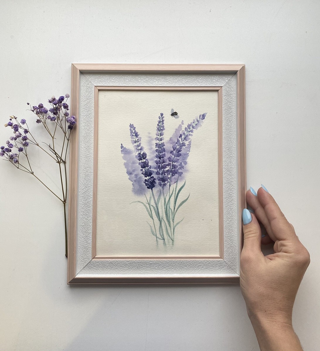 ordering lavender plants online English Lavender for Sale