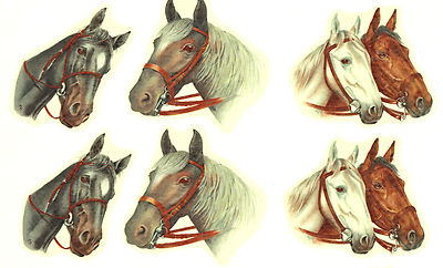 Ceramic Decals Horse Animal Heads (A) 2.25 inch  3 Designs