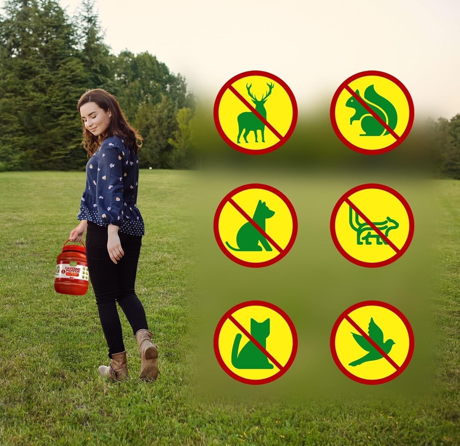 Slide 8