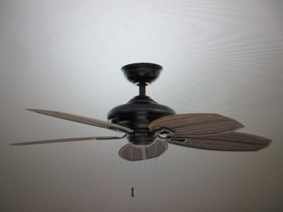 Hampton Bay Palm Beach II 48 in. Indoor/Outdoor Natural Iron Ceiling Fan