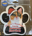 Seasons Greetings From My Domestic Shorthair Cat Car Magnet Paw Super Cute!