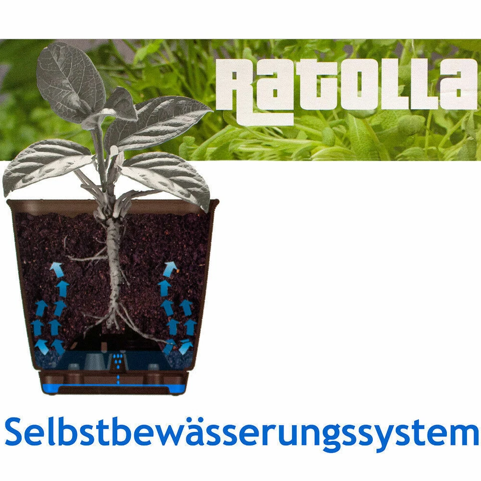 Balkonkasten Ratolla Geländerkasten Blumentopf Blumenkasten Pflanztopf Geländer - Bild 2 von 4