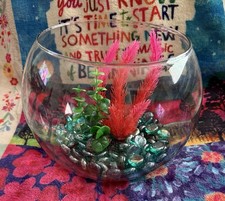 Clear Glass Bubble Fish Bowl Complete With Glass Beads Plants Just Add Fish