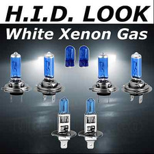 Ampoule Kia MAGENTIS