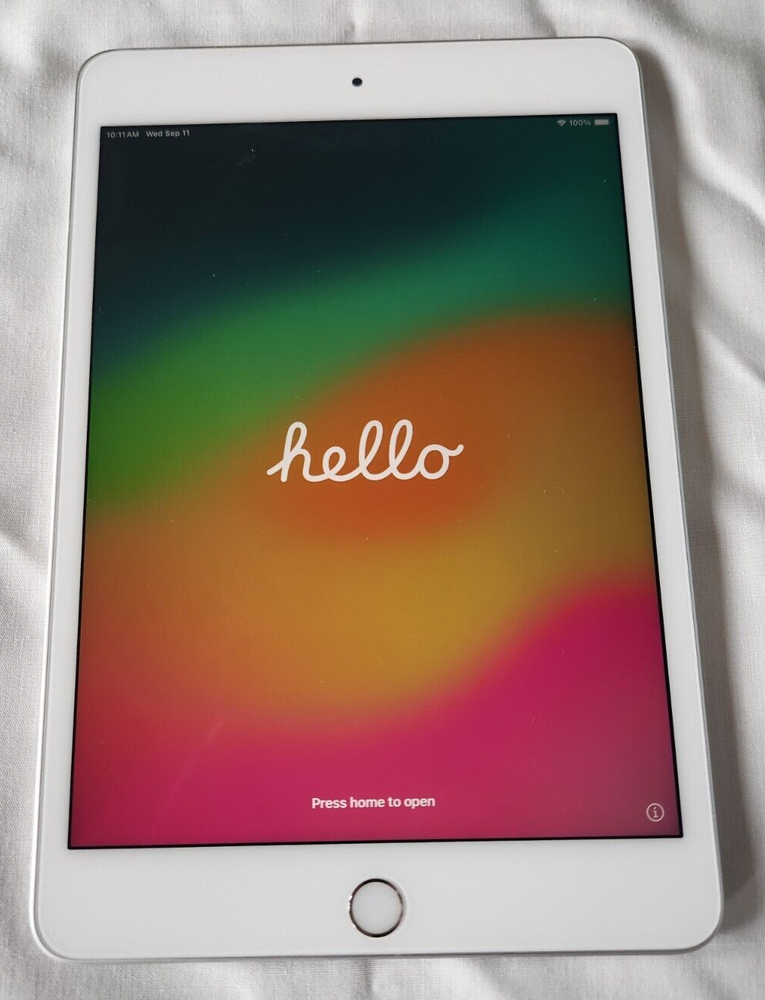 Apple iPad mini (5th Generation) 64GB, Wi-Fi, 7.9in - Silver + accessories
