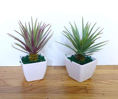 2 Agave Mini Grasses Artificial Desert Succulents Potted Plants With Pot |  eBay