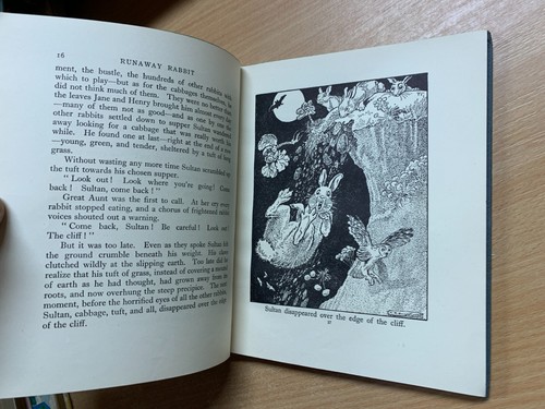 1934 OLWEN BOWEN "RUNAWAY RABBIT" ILLUSTRATED FICTION HARDBACK BOOK (P3) - Picture 10 of 18
