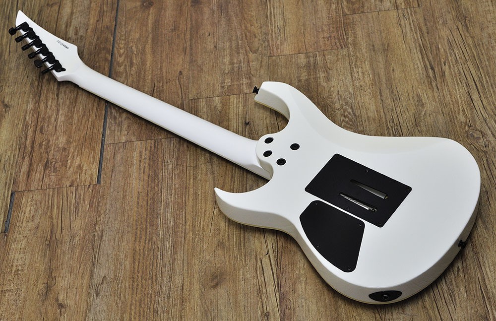 ギター FERNANDES fgz-standard FERNANDES FGZ-STANDARD | eBay