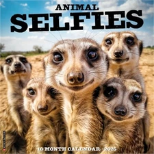 Animal Selfies 2026 12 X 12 Wall Calendar (Bookbook - Detail Unspecified)