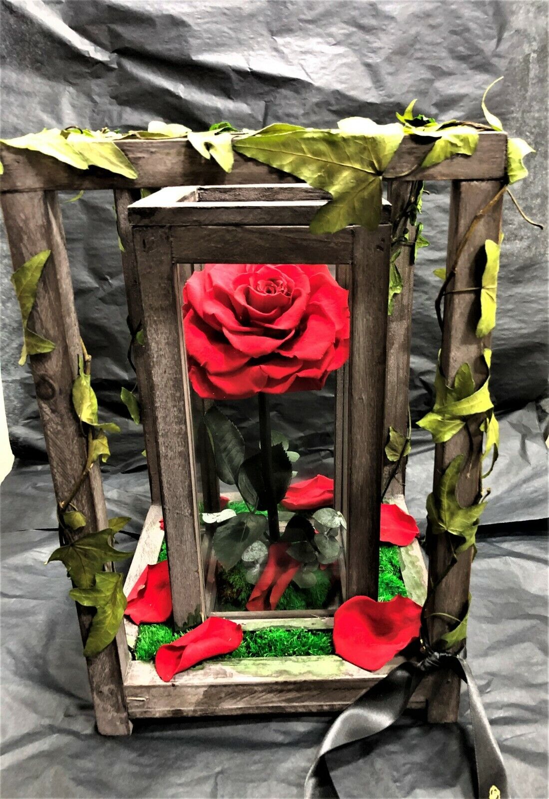 Picture 1 of 5