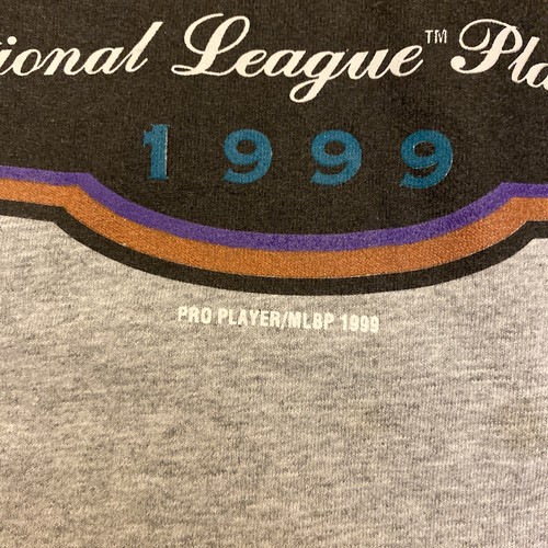 Vintage Arizona Diamondbacks T Shirt Youth 18/20 XL 1999 Mlb Inaugural Season - Picture 4 of 6