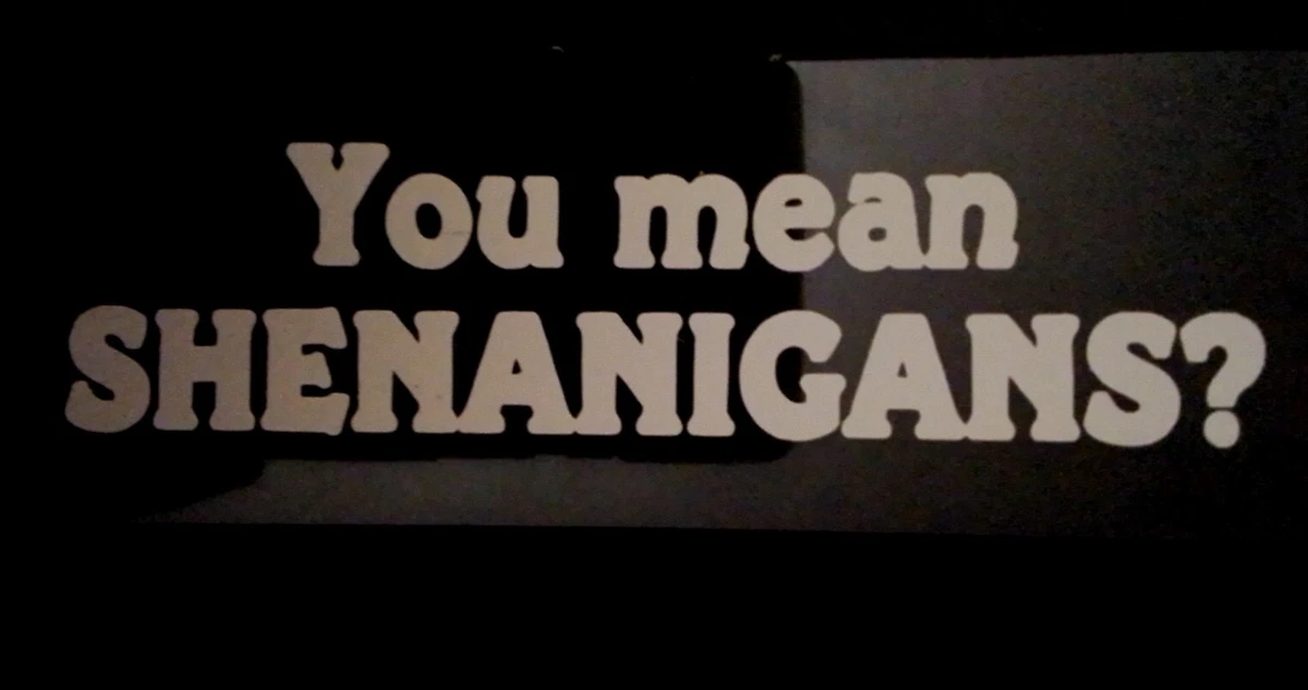 Super Troopers Shenanigans Quote