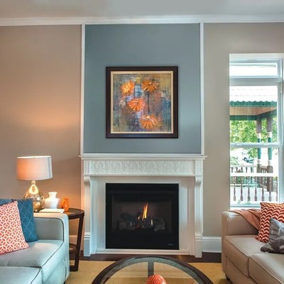 Superior DRT2035 Millivolt Rear Vent Fireplace - LP | DRT2035RMP-C | 17,000 BTUs