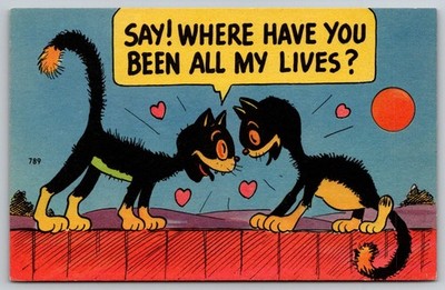 POSTCARD- Say! where have you been all my lives?