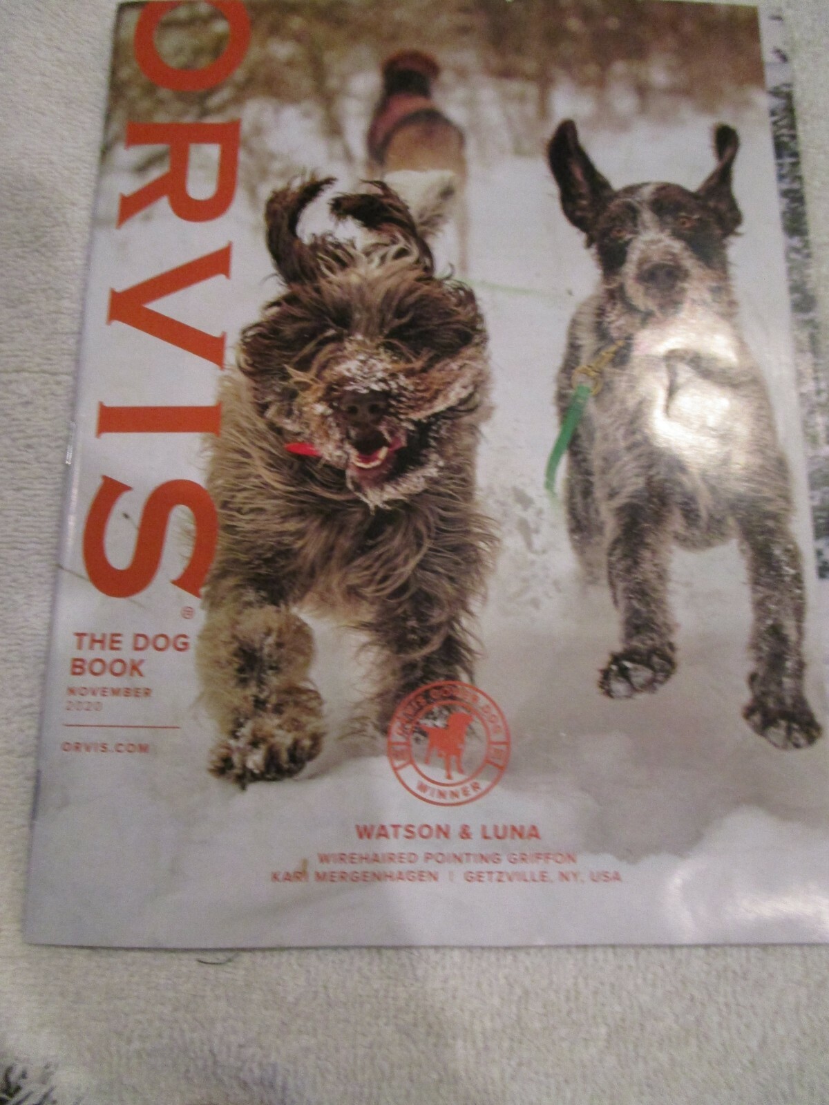 orvisdog