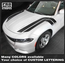Dodge Charger 2015 2016 2017 2018 2019 Fender To Side Thunderbolt Hash Stripes