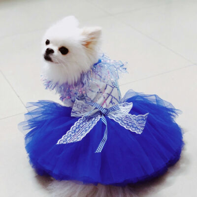 dog sequin dress Amazon.com : Fitwarm Sparkly Sequin Dog Tutu Dress, Luxury Christmas Outfit for Small Dogs Girl, Holiday Pet Clothes, Gold, XS : Pet Supplies