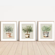 Set of Olive Trees ART PRINTS Wall picture Home ( A4 Sized, unframed)