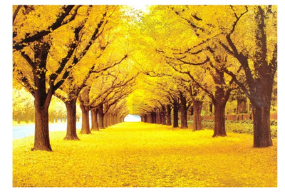 1000-teiliges Gold Herbst Puzzle - pädagogisch, dekorativ, perfektes Geschenk