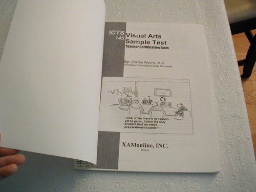 2007 ICTS VISUAL ARTS SAMPLE TEST 145 BY SHARON WYNNE PAPERBACK USA - Picture 6 of 6