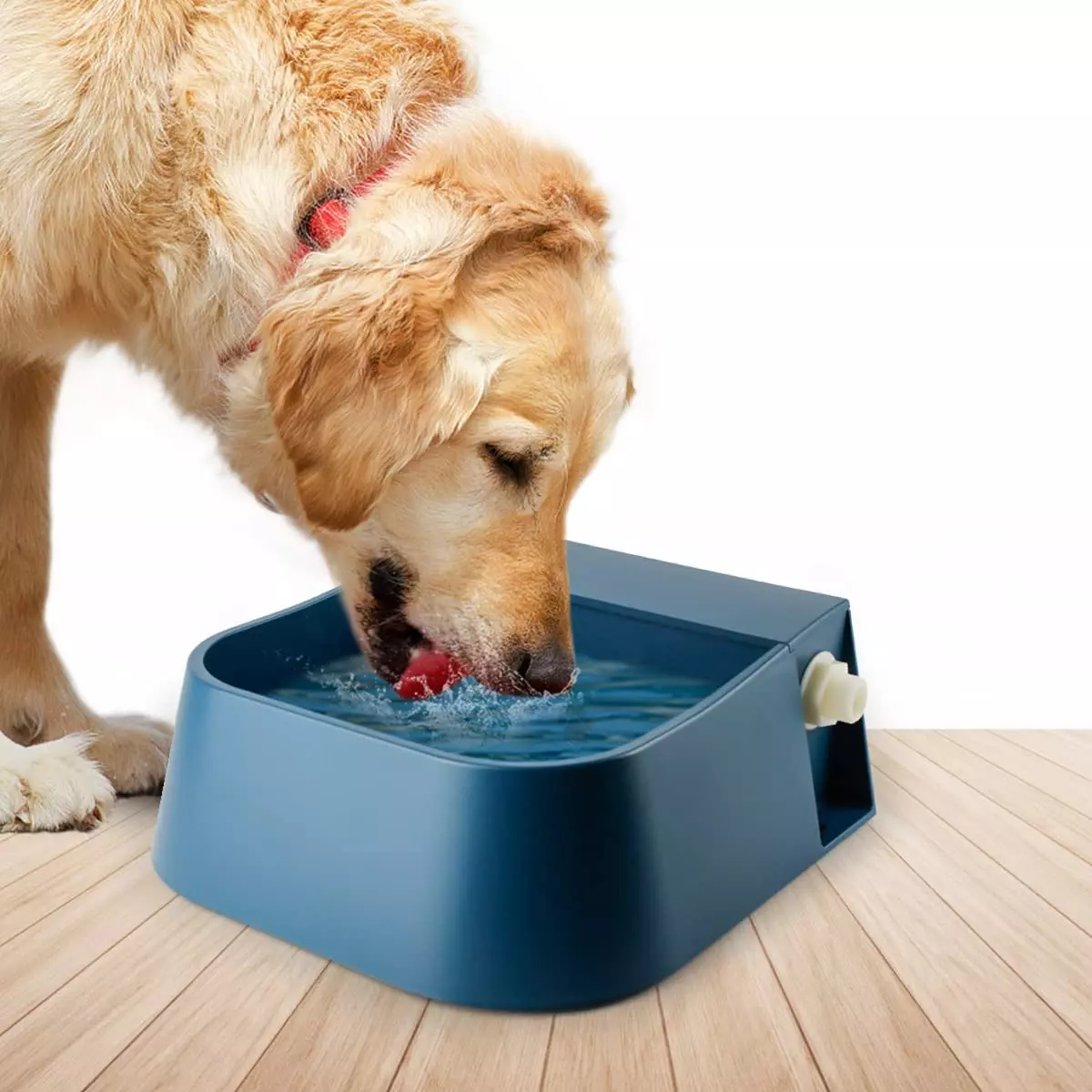 Automatic refilling sales dog water bowl
