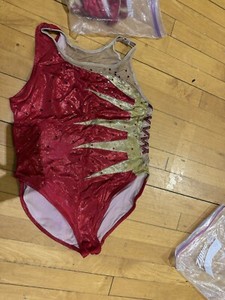 Red and Gold Star Color Guard Leotard