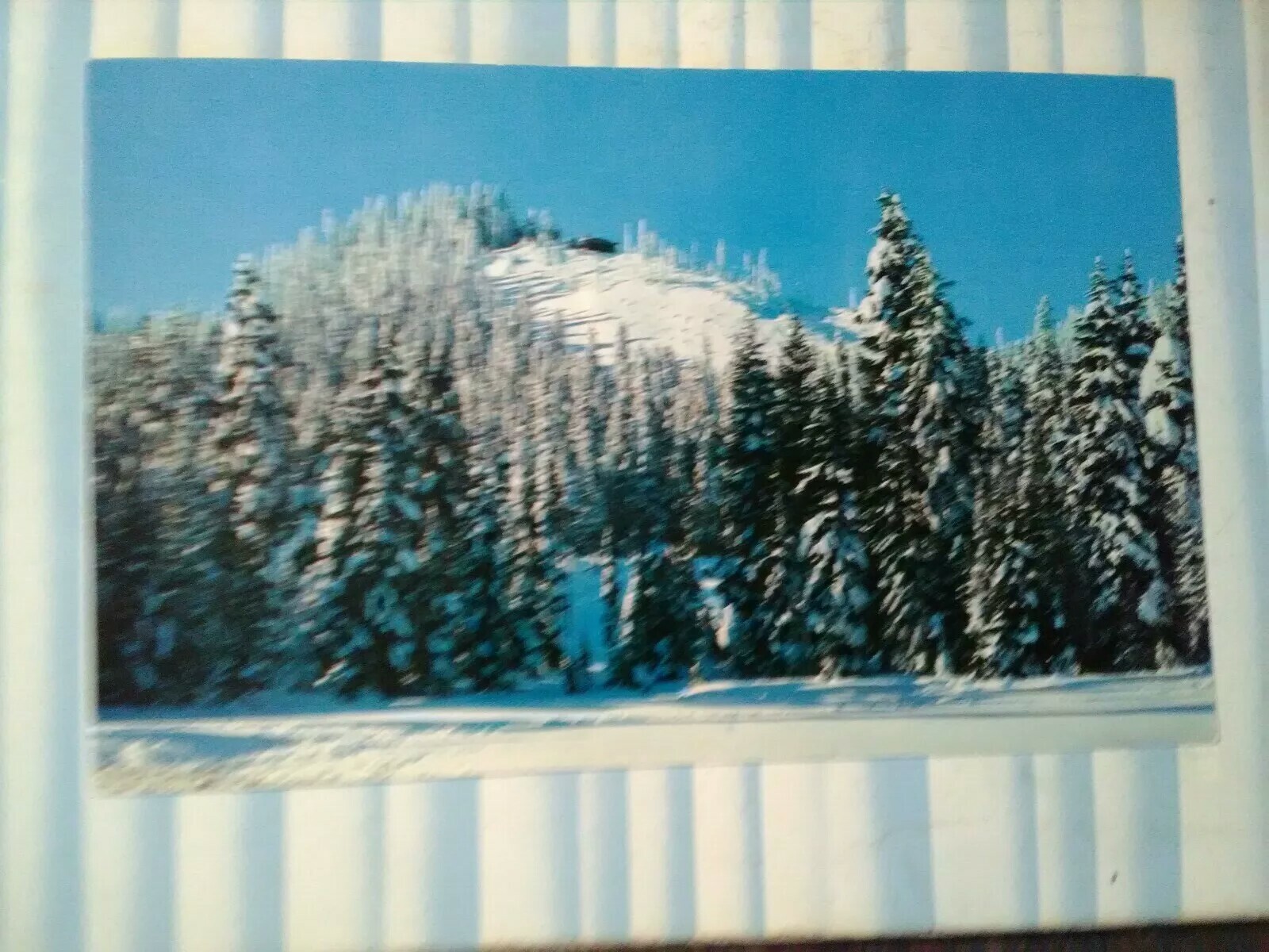 Picture 3 of 12
