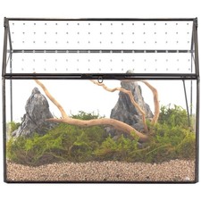 Glass Terrarium with Acrylic Lid