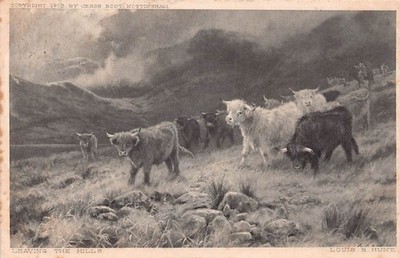FAMILIENGESCHICHTE - POSTKARTE - SCHMIED - GREENFIELD FERN LEA VAL NR OLDHAM um 1906