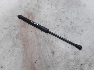 VW CADDY III Variant 2KB, 2KJ, 2CB, 2CJ Motorhaubenbein 1T0823359D 21053698