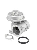 Borgwarner (Wahler) 712052D Agr-Ventil FüR Ford Jaguar