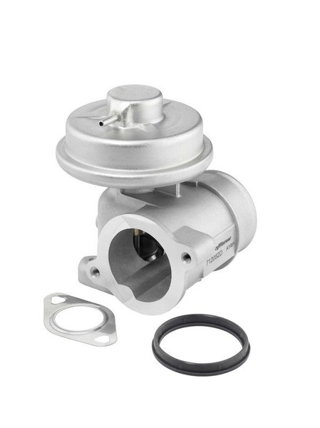 Borgwarner (Wahler) 712052D Agr-Ventil FüR Ford Jaguar-image