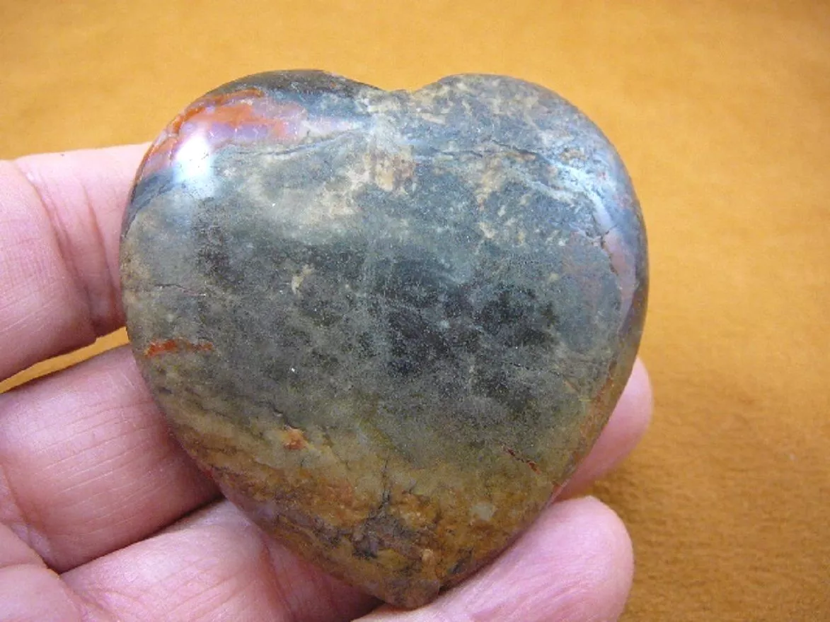 Heart fossil hotsell