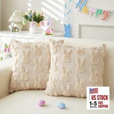 Easter Throw Pillow Covers 18x18 inch Set of 2 for 18" x 18" Pack of 2 Beige