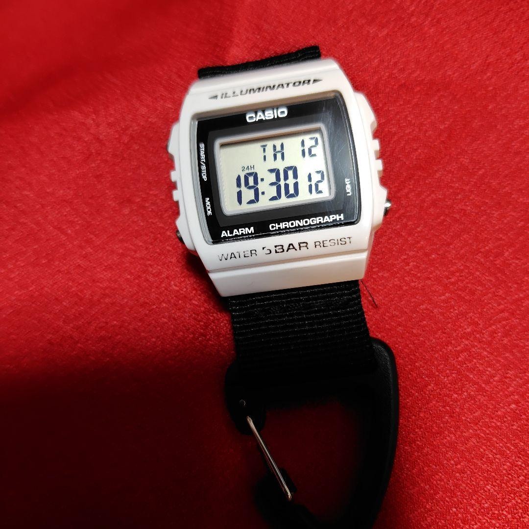 Carabiner Keychain W-215H