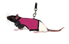 Rat Harness Small Guinea Pig Soft 1.2M Lead Hard Wearing Mesh Pink Cute Trixie 
