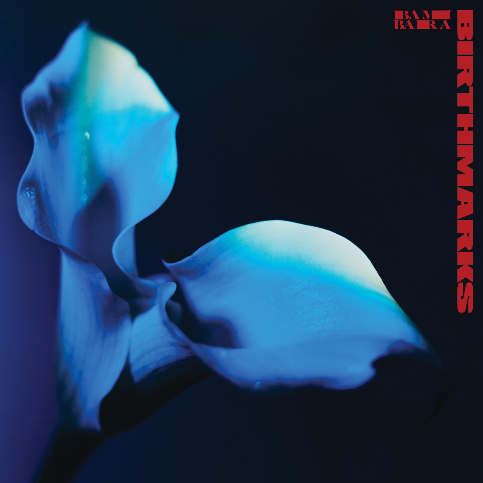 Bambara Birthmarks LP Vinile NUOVO