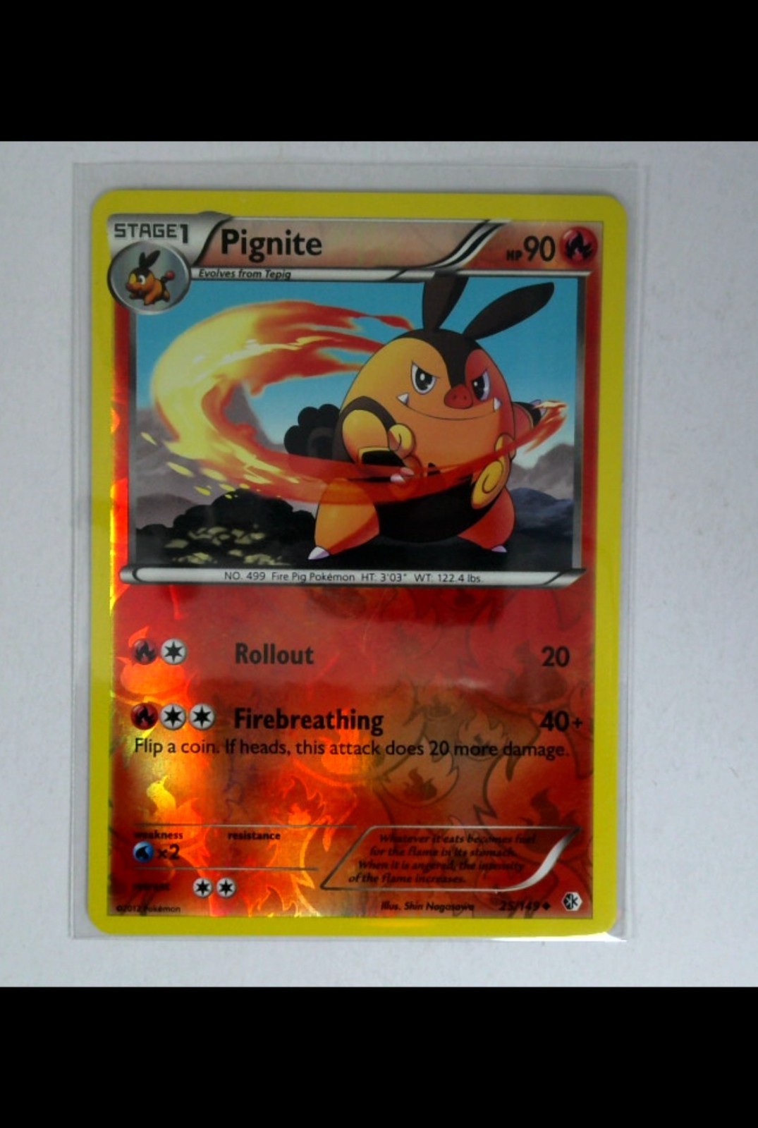 Pokémon TCG Pignite 25/149 BW Boundaries Crossed Reverse Holo Card EN-LP 2012