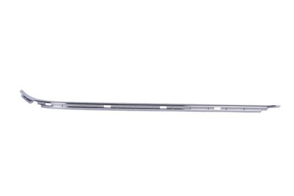 Left Rear BLIC 5703-05-0065971P Trim/Protection Strip, bumper for BMW