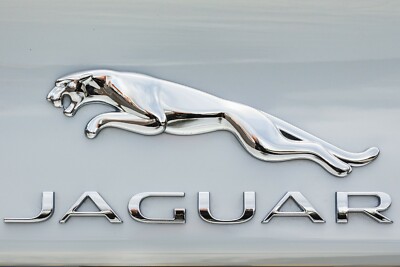 Jaguar Emblem in Metal Poster 24x36 inch