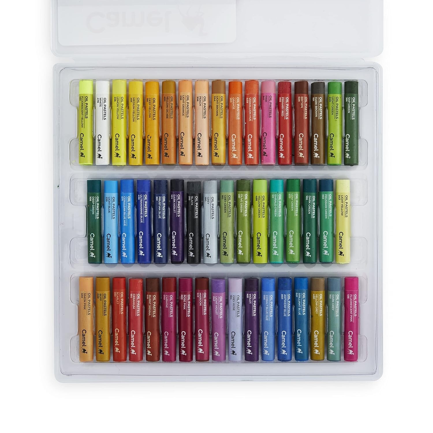 Camel Oil Pastel with Reusable Plastic Box - 50 Shades Free Shipping