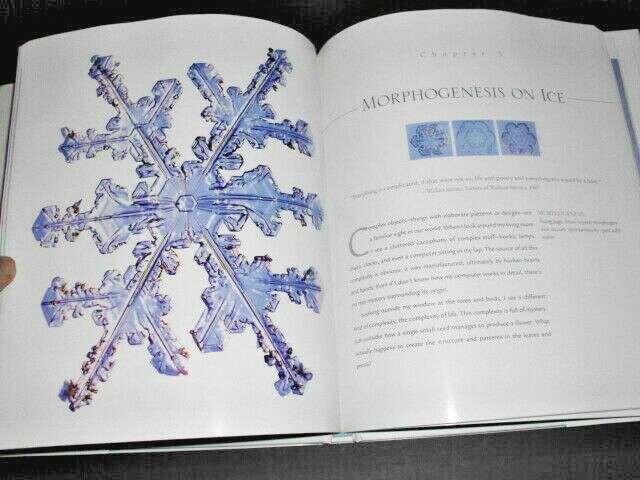 THE SNOWFLAKE : Winter's Secret Beauty | eBay