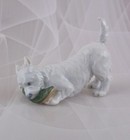 Foto 1 di 5