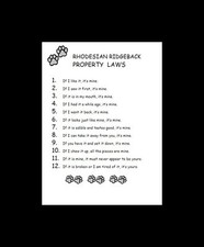 Rhodesian Ridgeback - CUSTOM MATTED - Dog Art Print - P/L