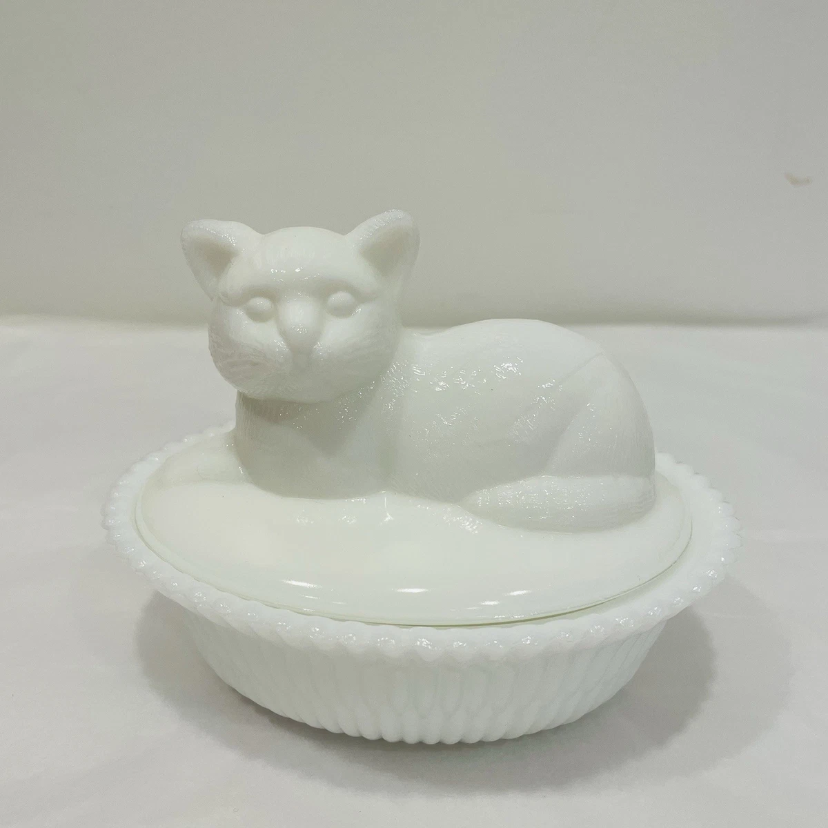25+ westmoreland cat for sale | Updated Oct 2026