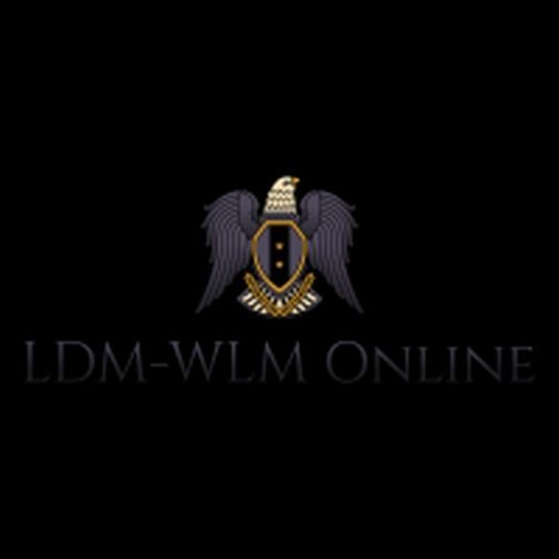 Acid Tactical Leg Thigh Gun Pisto Holster or Open Carry Belt & Mag Pouch