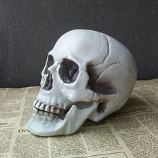 Halloween Skull Decoration Realistic Plastic Head Party Home Horror Decoration