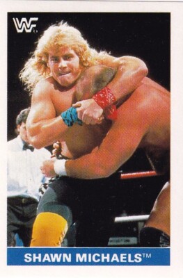 Shawn Michaels WWF Pro Wrestling Trading Card Sticker 1991 WWE HOF