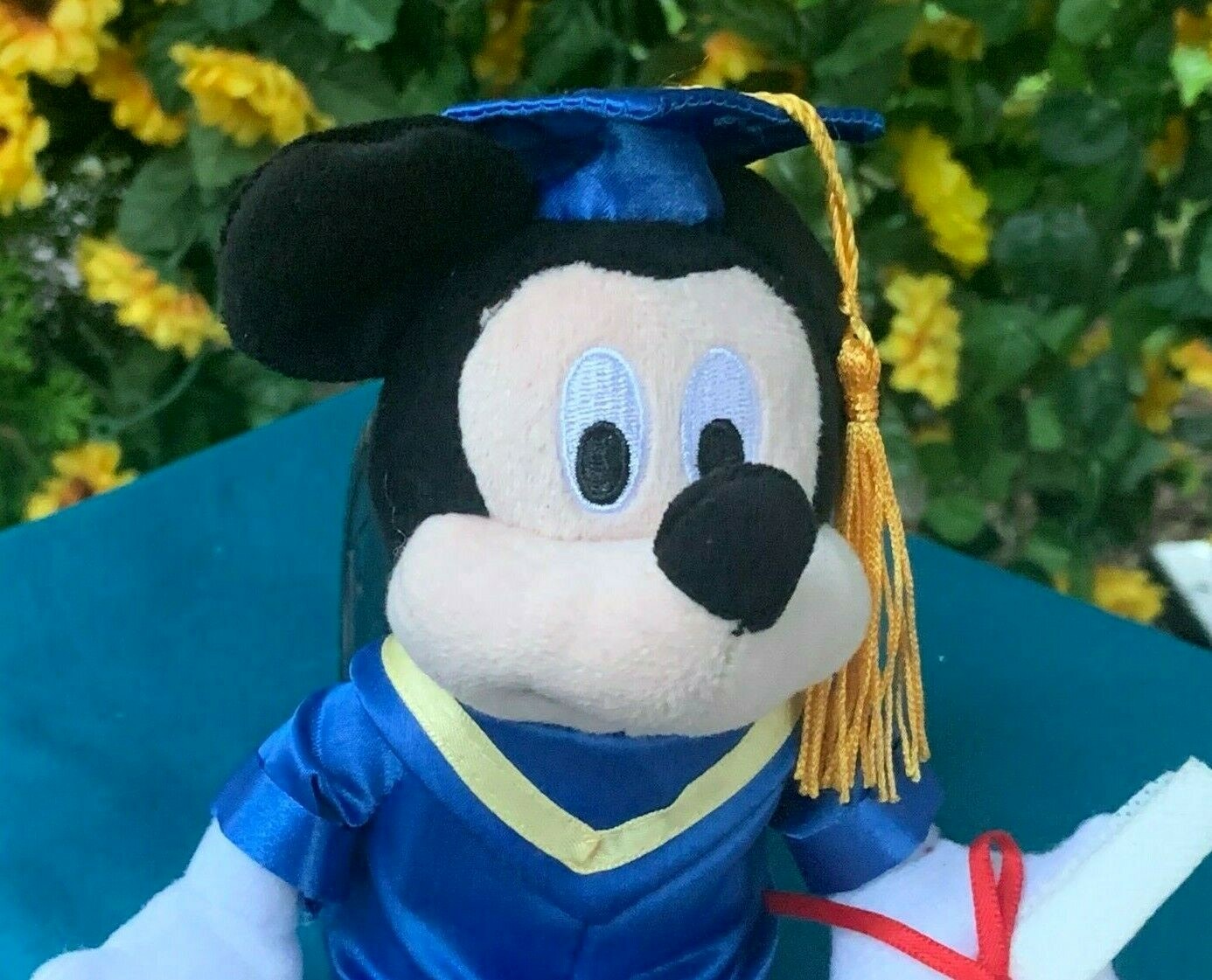 stuffed animal graduation cap