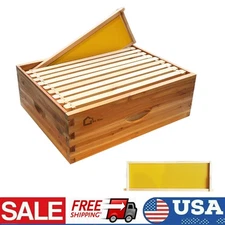 10 Frame Beehive Box Medium Super Bee Box with Wooden Frames & Waxed Foundations